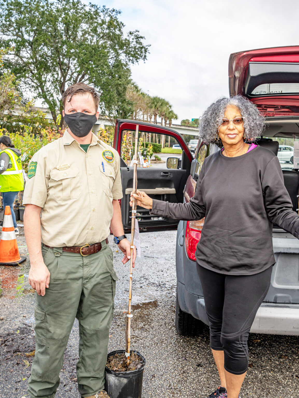 Free Trees Shredding Help Keep Jacksonville Beautiful Free Press of