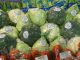 The “oral microbiome,” or the bacteria that populate the mouth, can affect how broccoli, cauliflower and other vegetables taste, explaining why some children hate their vegetables. (Sean Gallup/Getty Images)