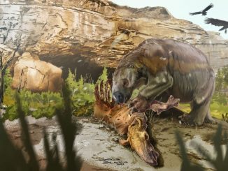 A reconstruction of the South American giant ground sloth Mylodon. (Jorge Blanco/Zenger News)