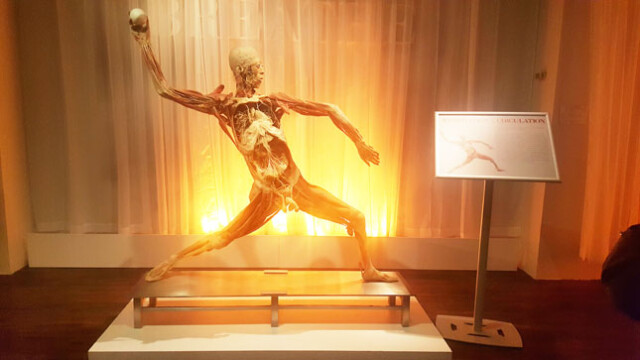 Ballys See inside yourself